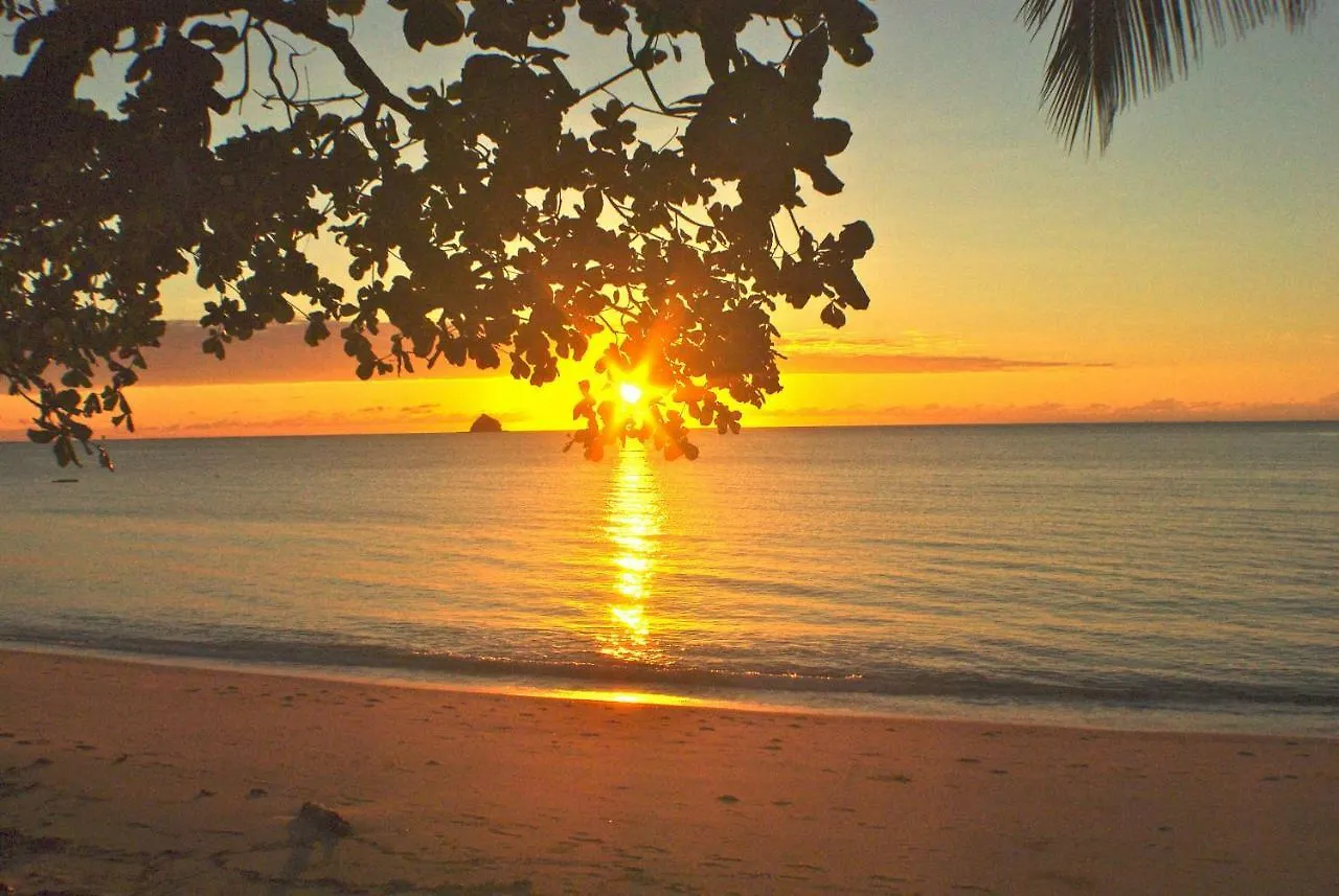 Serenity At The Beach Palm Cove Resort