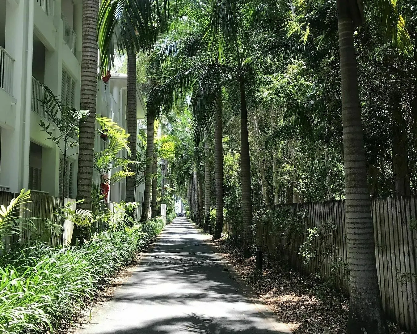 ***** Resort Serenity At The Beach Palm Cove Australia