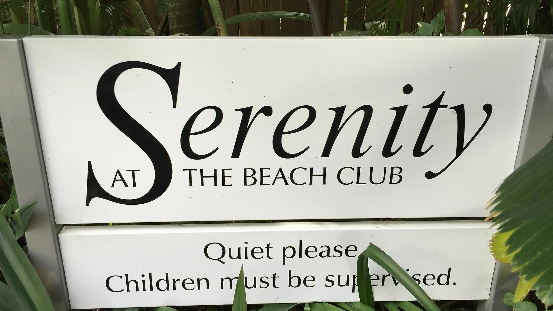 Serenity At The Beach Palm Cove Resort